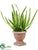 Silk Plants Direct Agave Plant - Green - Pack of 4