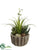 Succulent Garden Arrangement - Green - Pack of 6