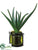 Aloe - Green - Pack of 1