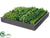 Succulent Mat - Green Burgundy - Pack of 2