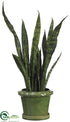 Silk Plants Direct Sansevieria - Green Two Tone - Pack of 1