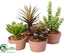 Silk Plants Direct Succulent Garden - Green Burgundy - Pack of 4