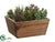 Succulent Garden - Green - Pack of 2