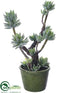 Silk Plants Direct Sedum - Green Gray - Pack of 4