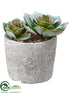 Silk Plants Direct Echeveria - Green - Pack of 6