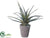 Silk Plants Direct Agave Plant - Green - Pack of 6