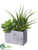 Silk Plants Direct Agave, Echeveria - Green - Pack of 2