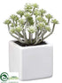 Silk Plants Direct Sedum - Green Frosted - Pack of 6