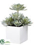 Silk Plants Direct Sedum - Green Frosted - Pack of 6