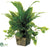 Greenery - Green - Pack of 6