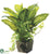 Greenery - Green - Pack of 6