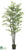 Black Bamboo Tree - Green - Pack of 2