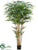 Bamboo Tree - Green - Pack of 2