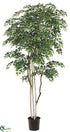 Silk Plants Direct White Paper Birch Tree - Green - Pack of 2