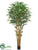 Bamboo Tree - Green - Pack of 2