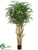 Bamboo Tree - Green - Pack of 2