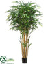 Silk Plants Direct Bamboo Tree - Green - Pack of 2