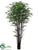 Black Bamboo Tree - Green - Pack of 2