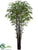 Black Bamboo Tree - Green Two Tone - Pack of 2