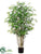 Bamboo Tree - Green - Pack of 2