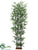 Black Bamboo Tree - Green Black - Pack of 2