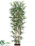 Silk Plants Direct Bamboo Tree - Green - Pack of 2