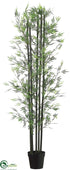 Silk Plants Direct Bamboo Tree - Green - Pack of 1