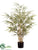 Silk Plants Direct Bamboo Tree - Variegated - Pack of 2