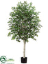 Silk Plants Direct Birch Tree - Green - Pack of 2