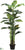 Banana Tree - Green - Pack of 2