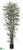 Bamboo Tree - Green - Pack of 2