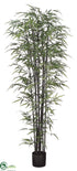 Silk Plants Direct Bamboo Tree - Green - Pack of 2