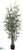 Black Bamboo Tree - Black - Pack of 2