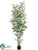 Bamboo Tree - Green Two Tone - Pack of 2