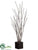 Camel Whip Tree - Brown - Pack of 2