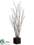 Silk Plants Direct Camel Whip Tree - Brown - Pack of 2