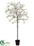 Silk Plants Direct Dogwood Tree - Cream - Pack of 1