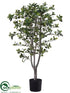 Silk Plants Direct Ficus Tree - Green - Pack of 1