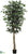 Ficus Tree - Green - Pack of 2