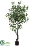 Silk Plants Direct Ficus Tree - Green - Pack of 2