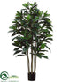 Silk Plants Direct Ficus Tree - Green - Pack of 2