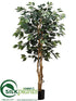 Silk Plants Direct Ficus Tree - Green - Pack of 2