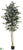 Ficus Tree - Green - Pack of 2