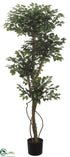 Silk Plants Direct Ficus Tree - Green - Pack of 2