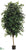 Ficus Tree - Green - Pack of 2