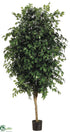 Silk Plants Direct Ficus Tree - Green - Pack of 2