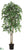 Ficus Tree - Green Two Tone - Pack of 2