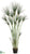 Grass Tree - Green - Pack of 1