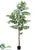 Silk Plants Direct Juniper Tree - Green - Pack of 1