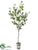 Silk Plants Direct Laurel Tree - Green - Pack of 1